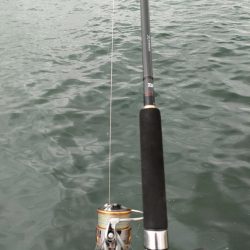 ノマセ釣りでまたハマチ