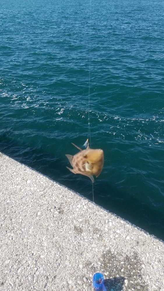 釣れなくても 楽しい