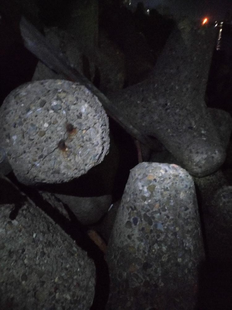 ちょい釣り20221125