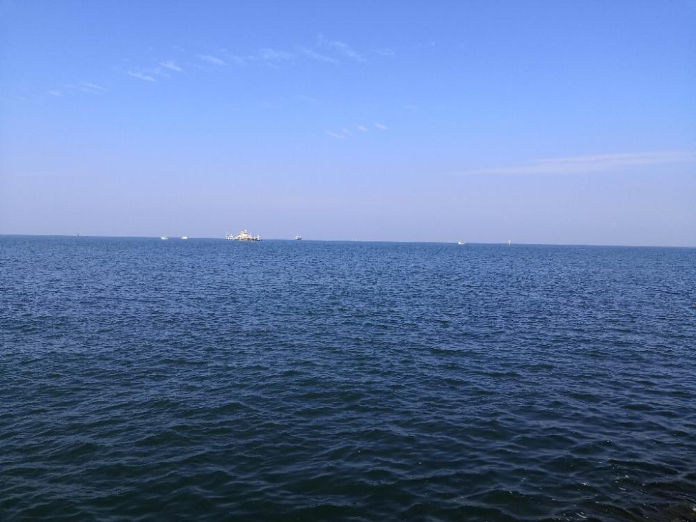 今が旬のカワハギ