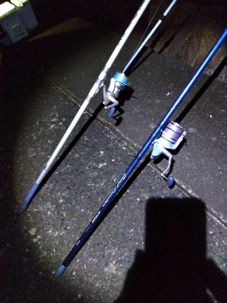 苅屋海岸の投げ釣り