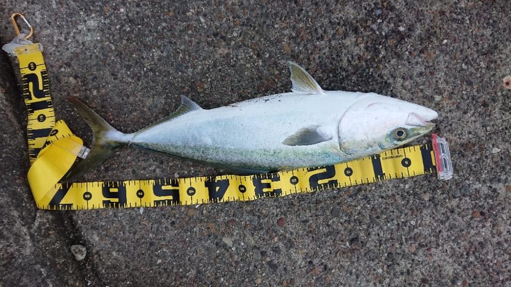 2022播磨遠征第4回