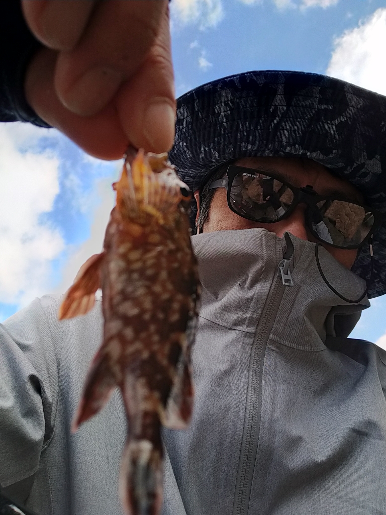 初めてのヒラメ