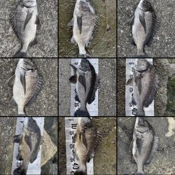 イチノ兄弟（兄）釣果！