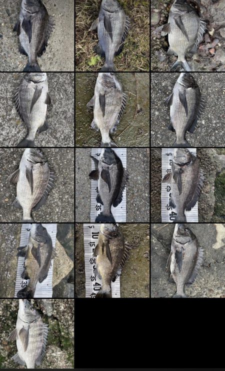 イチノ兄弟（兄）釣果！