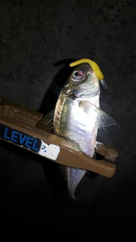 早くもロック時代か-w