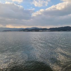 いつもやつが…