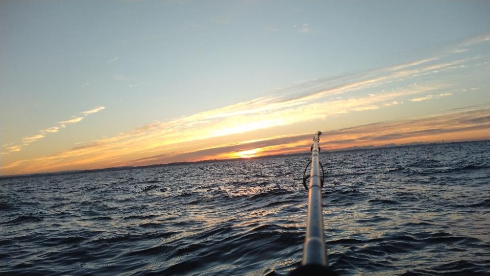 サワキャス（釣行…三回目）