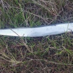 やっぱり1本(⁠^⁠^⁠)