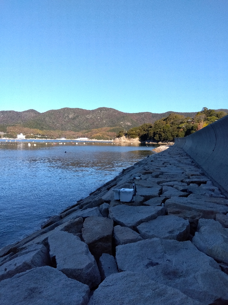 室津のキス釣り