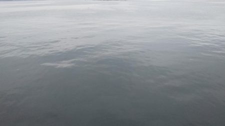 初のオオモンハタ