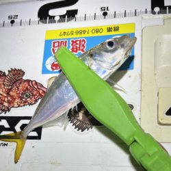 30匹オーバーアジング