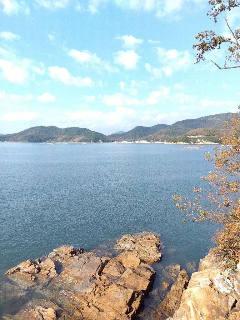 室津のキス釣りく