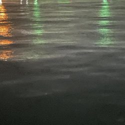 ジグ単deアジング！雨にも風にも負けず…