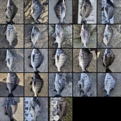 イチノ兄弟(兄)釣果!