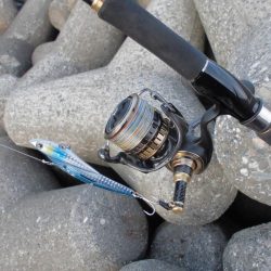 日没後の猛打賞?