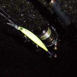 朝の猛打賞は8時から