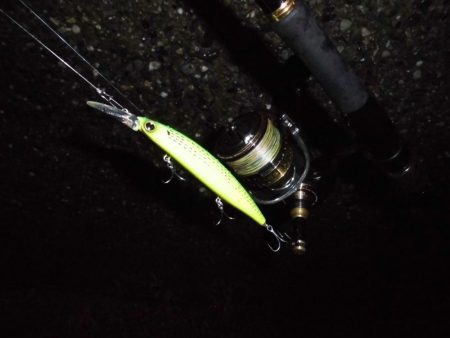 朝の猛打賞は8時から