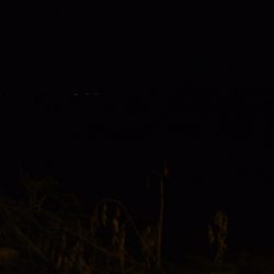 河川シーバス終盤戦