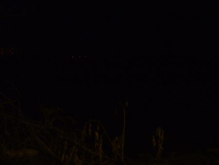 河川シーバス終盤戦