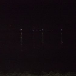 ハイシーズン終了を感じる釣行