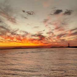 エソゲーム！(裏で9目達成！)