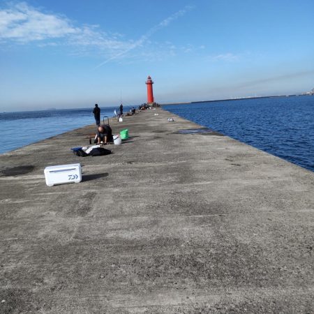 ヒラメ狙いの飲ませ。