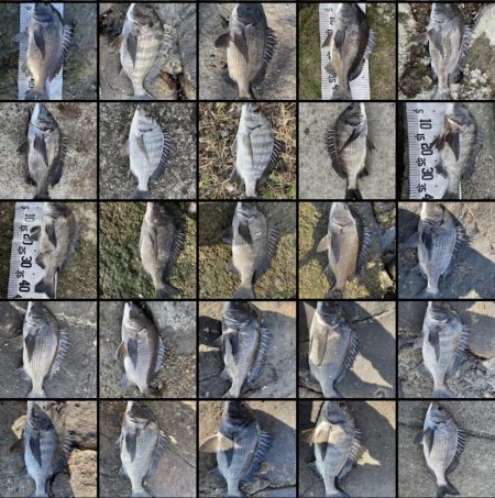 イチノ兄弟(兄)釣果!