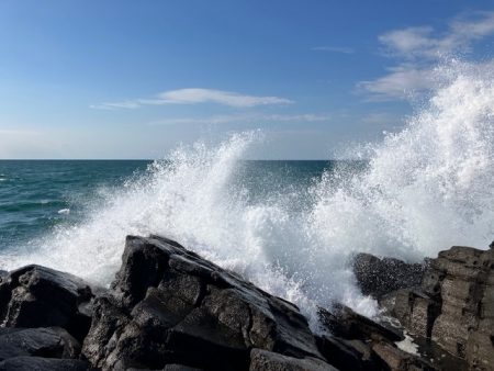 カンパリの情報を参考に
