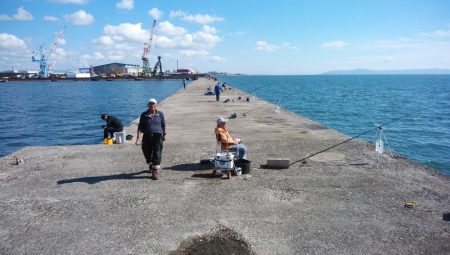 播磨新島のキス情報