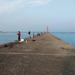 播磨新島のキス情報