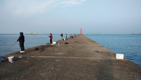 播磨新島のキス情報