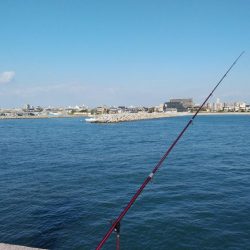 東二見白灯台のキス調査