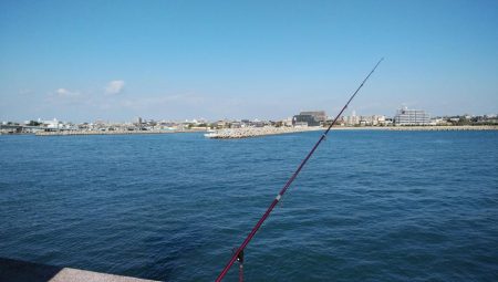 東二見白灯台のキス調査