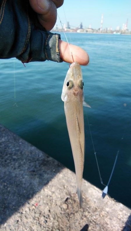 投げ「引き釣り」