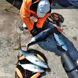 メジロ・ハマチ・アジ・・・