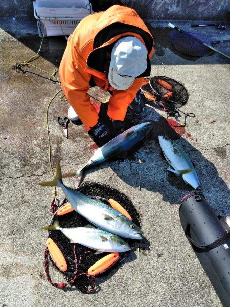 メジロ・ハマチ・アジ・・・