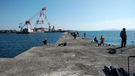 播磨新島のキスが釣れなくなりました