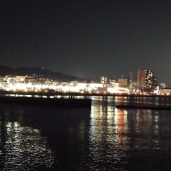 2022/11/21 須磨ライトゲーム釣行