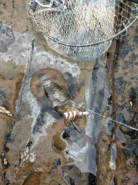 フカセ‥最高ですネ・・