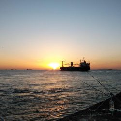 午後から播磨新島のキス調査