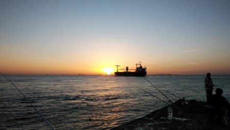 午後から播磨新島のキス調査