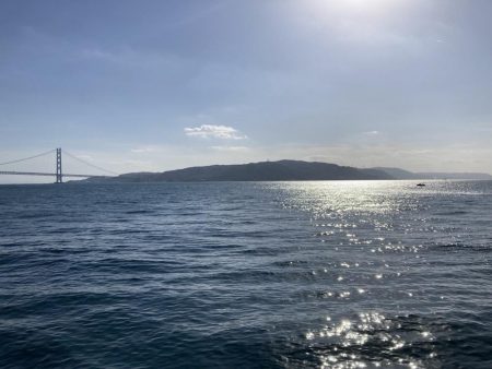 グレ入れ食い！