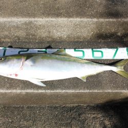 リベンジ！！嬉しい外道