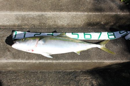 リベンジ！！嬉しい外道