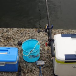 エビ撒きで五目釣り