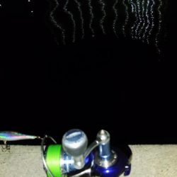 ぶらシーバス!!