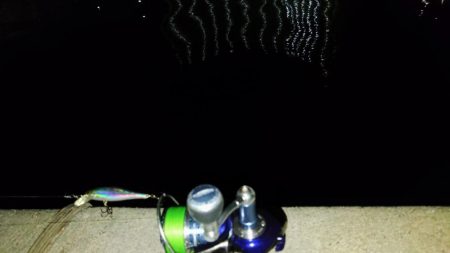 ぶらシーバス!!