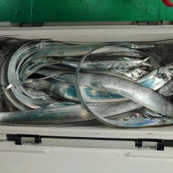 泉州丸　釣果