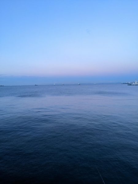 沖堤防でカワハギパラダイス